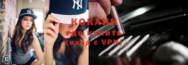 гидра Володарск