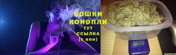 гидра Володарск
