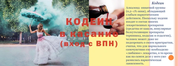 СК Волосово