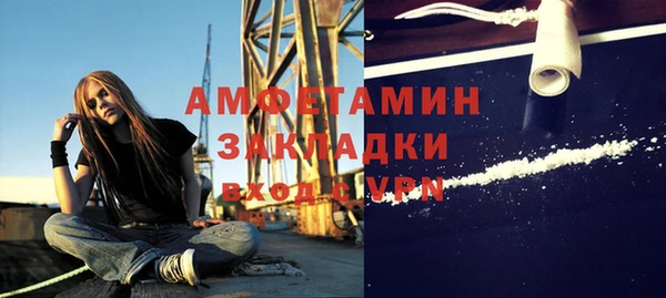 гидра Володарск