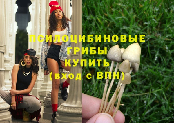 СК Волосово