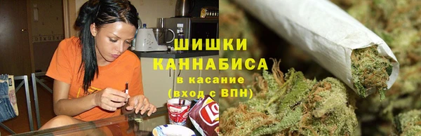 гидра Володарск