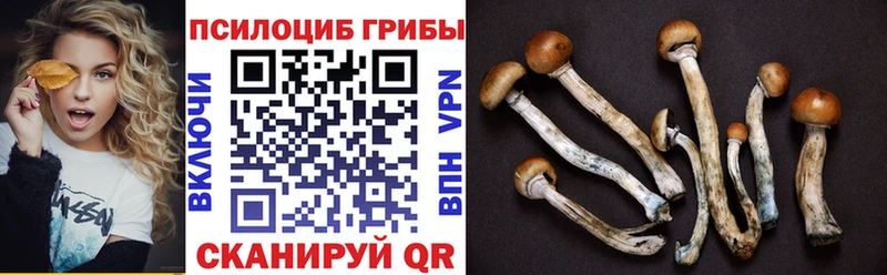 Псилоцибиновые грибы ЛСД  наркошоп  Городище 